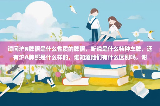 请问沪N牌照是什么性质的牌照，听说是什么特种车牌，还有沪A牌照是什么样的，谁知道他们有什么区别吗，谢