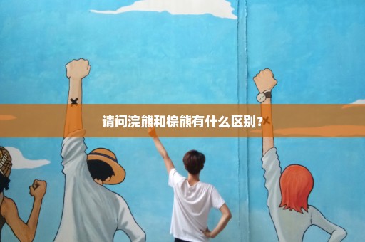 请问浣熊和棕熊有什么区别？