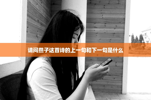 请问燕子这首诗的上一句和下一句是什么