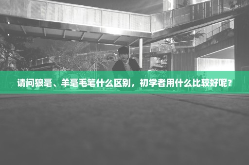 请问狼毫、羊毫毛笔什么区别，初学者用什么比较好呢？