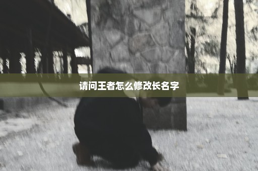 请问王者怎么修改长名字