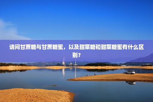 请问甘蔗糖与甘蔗糖蜜，以及甜菜糖和甜菜糖蜜有什么区别？