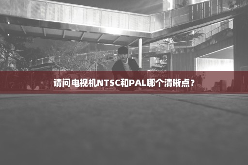 请问电视机NTSC和PAL哪个清晰点？