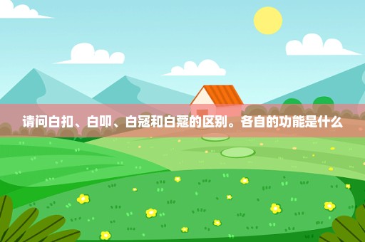 请问白扣、白叩、白寇和白蔻的区别。各自的功能是什么