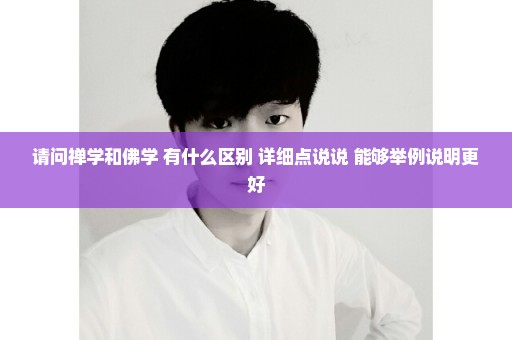 请问禅学和佛学 有什么区别 详细点说说 能够举例说明更好