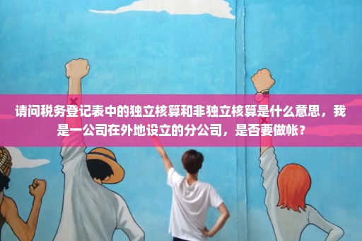 请问税务登记表中的独立核算和非独立核算是什么意思，我是一公司在外地设立的分公司，是否要做帐？