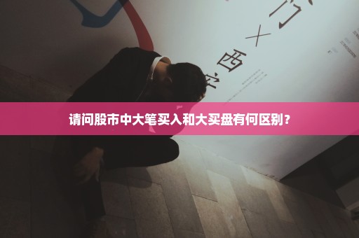 请问股市中大笔买入和大买盘有何区别？