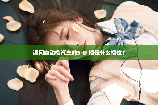 请问自动档汽车的S-D+档是什么档位？