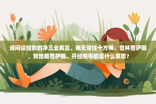 请问读经前的净三业真言、南无常住十方佛、觉林菩萨偈、赞地藏菩萨偈、开经偈等都是什么意思？