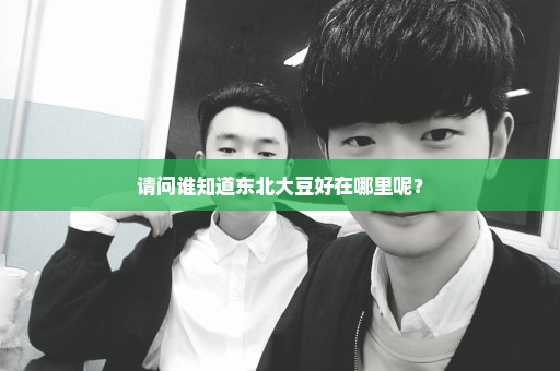 请问谁知道东北大豆好在哪里呢？