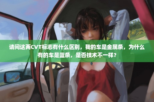 请问这两CVT标志有什么区别，我的车是金属条，为什么有的车是蓝条，是否技术不一样？