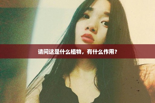 请问这是什么植物，有什么作用？