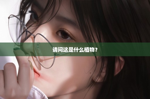 请问这是什么植物？