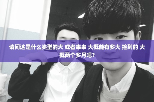 请问这是什么类型的犬 或者串串 大概能有多大 捡到的 大概两个多月吧？