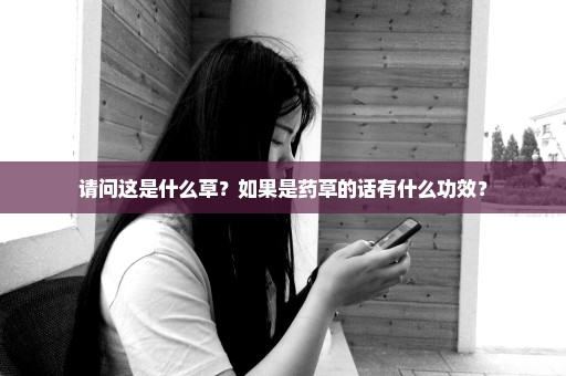 请问这是什么草？如果是药草的话有什么功效？