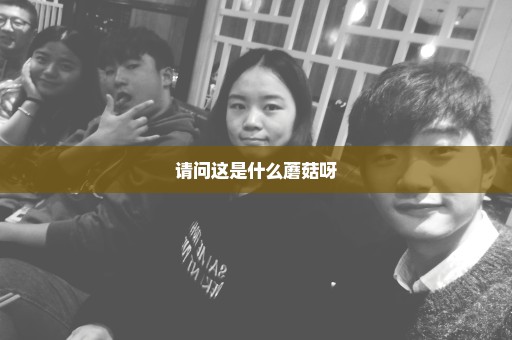 请问这是什么蘑菇呀