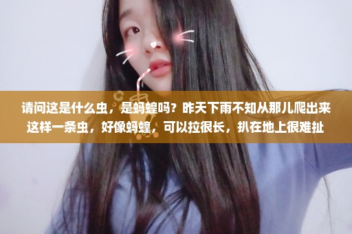 请问这是什么虫，是蚂蝗吗？昨天下雨不知从那儿爬出来这样一条虫，好像蚂蝗，可以拉很长，扒在地上很难扯