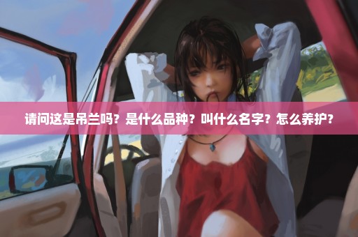 请问这是吊兰吗？是什么品种？叫什么名字？怎么养护？