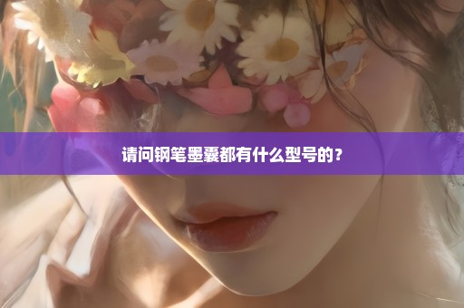 请问钢笔墨囊都有什么型号的？