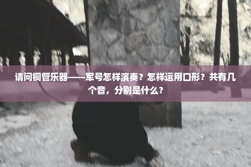 请问铜管乐器——军号怎样演奏？怎样运用口形？共有几个音，分别是什么？