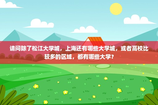 请问除了松江大学城，上海还有哪些大学城，或者高校比较多的区域，都有哪些大学？