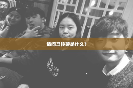 请问马铃薯是什么？