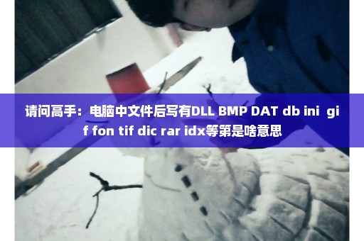 请问高手：电脑中文件后写有DLL BMP DAT db ini  gif fon tif dic rar idx等第是啥意思