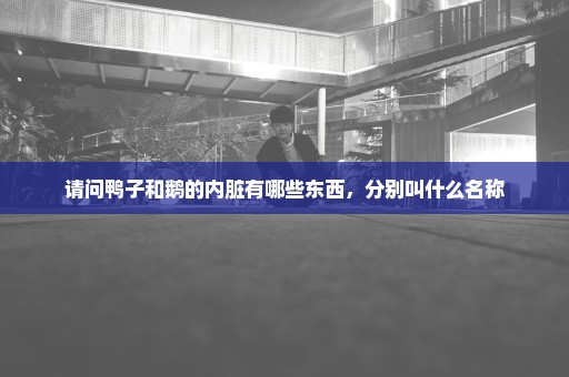 请问鸭子和鹅的内脏有哪些东西，分别叫什么名称