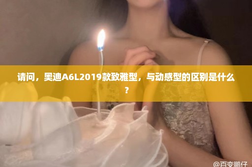 请问，奥迪A6L2019款致雅型，与动感型的区别是什么？