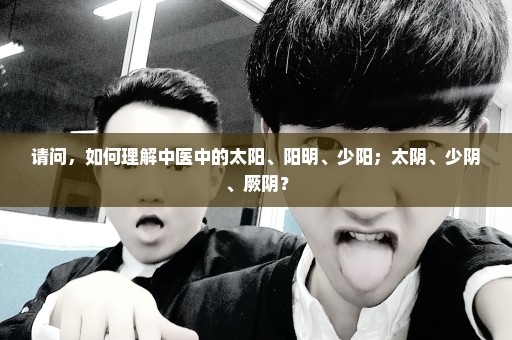 请问，如何理解中医中的太阳、阳明、少阳；太阴、少阴、厥阴？