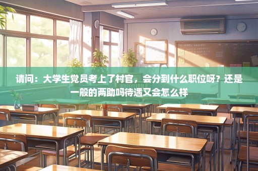 请问：大学生党员考上了村官，会分到什么职位呀？还是一般的两助吗待遇又会怎么样