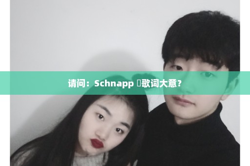 请问：Schnapp 旳歌词大意？