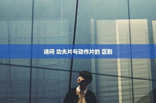请问 功夫片与动作片的 区别
