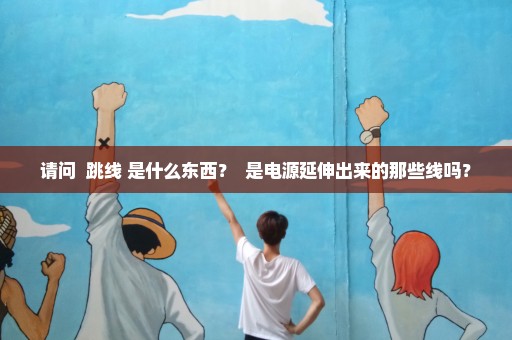 请问  跳线 是什么东西？  是电源延伸出来的那些线吗？