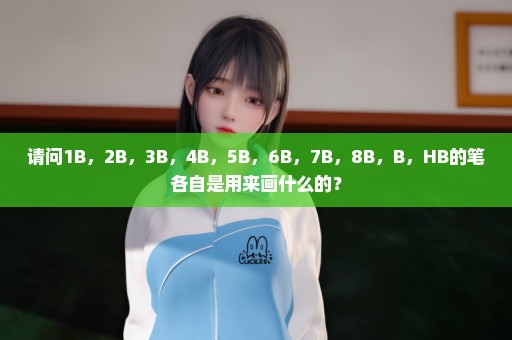 请问1B，2B，3B，4B，5B，6B，7B，8B，B，HB的笔各自是用来画什么的？