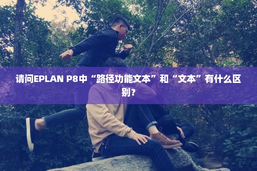 请问EPLAN P8中“路径功能文本”和“文本”有什么区别？