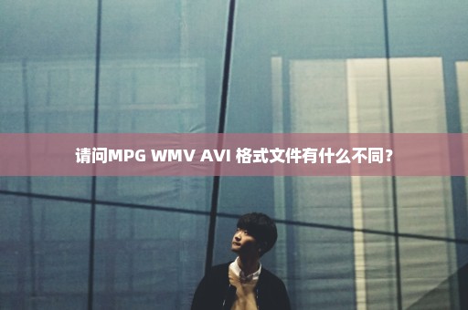 请问MPG WMV AVI 格式文件有什么不同？