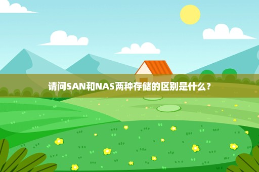 请问SAN和NAS两种存储的区别是什么？