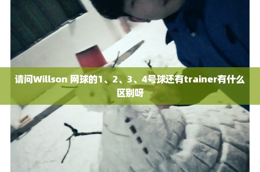 请问Willson 网球的1、2、3、4号球还有trainer有什么区别呀
