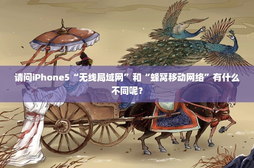 请问iPhone5“无线局域网”和“蜂窝移动网络”有什么不同呢？