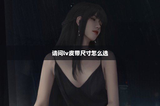 请问lv皮带尺寸怎么选
