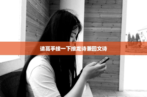请高手接一下接龙诗兼回文诗