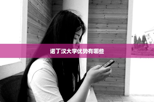 诺丁汉大学优势有哪些