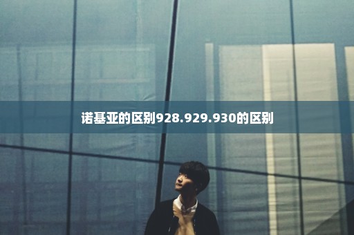 诺基亚的区别928.929.930的区别