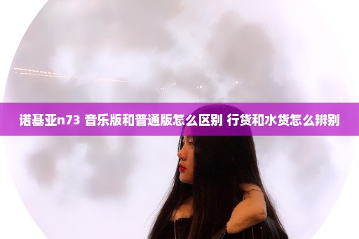 诺基亚n73 音乐版和普通版怎么区别 行货和水货怎么辨别