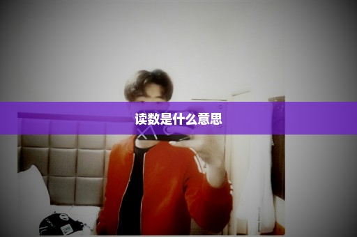 读数是什么意思