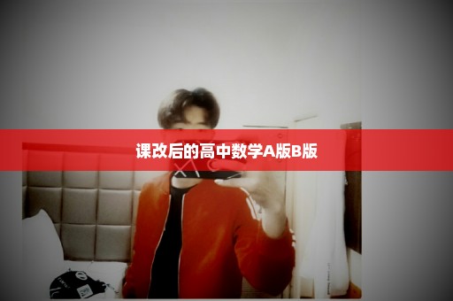 课改后的高中数学A版B版