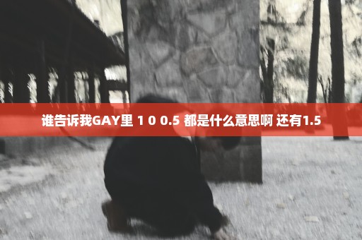 谁告诉我GAY里 1 0 0.5 都是什么意思啊 还有1.5