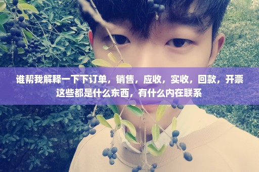 谁帮我解释一下下订单，销售，应收，实收，回款，开票这些都是什么东西，有什么内在联系