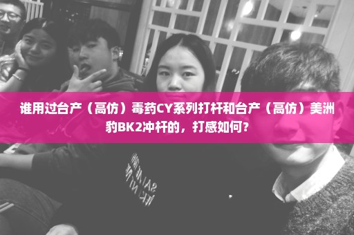 谁用过台产（高仿）毒药CY系列打杆和台产（高仿）美洲豹BK2冲杆的，打感如何？
